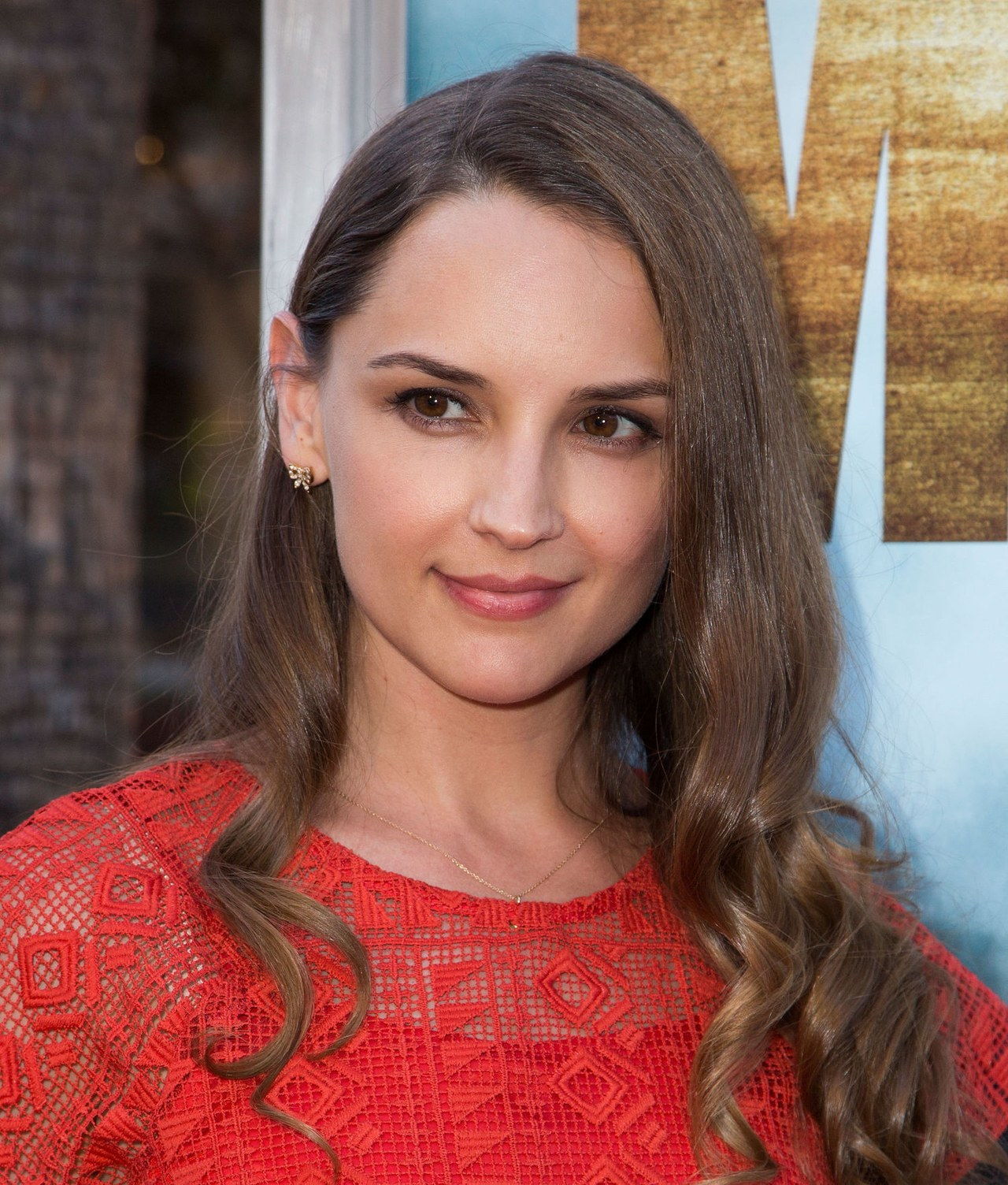 what rachael leigh cook looks like now 2015