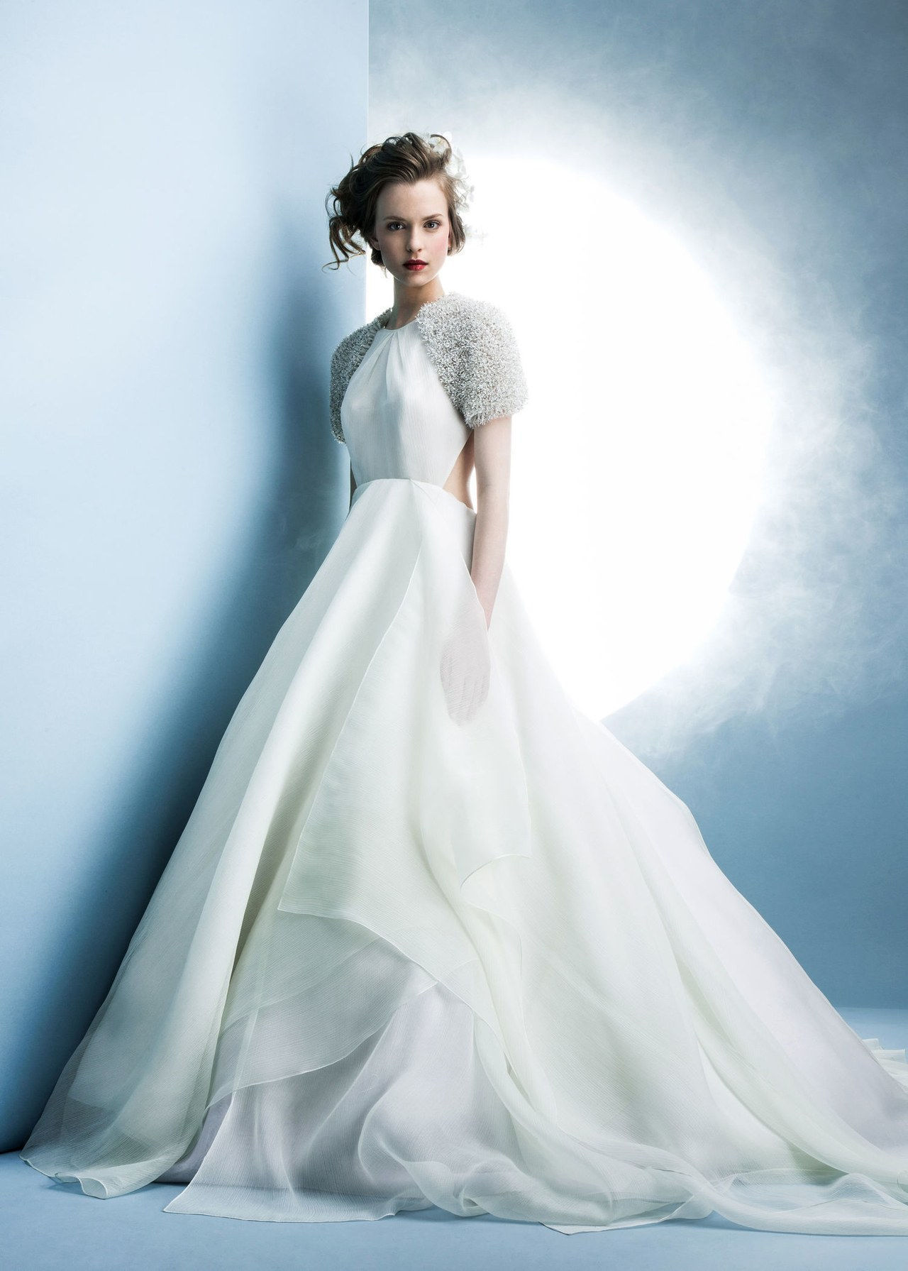 1 wedding dresses with sleeves 1001 courtesy