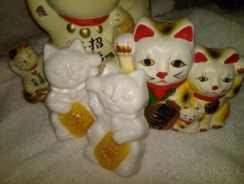 0612 fortune cat soap bd