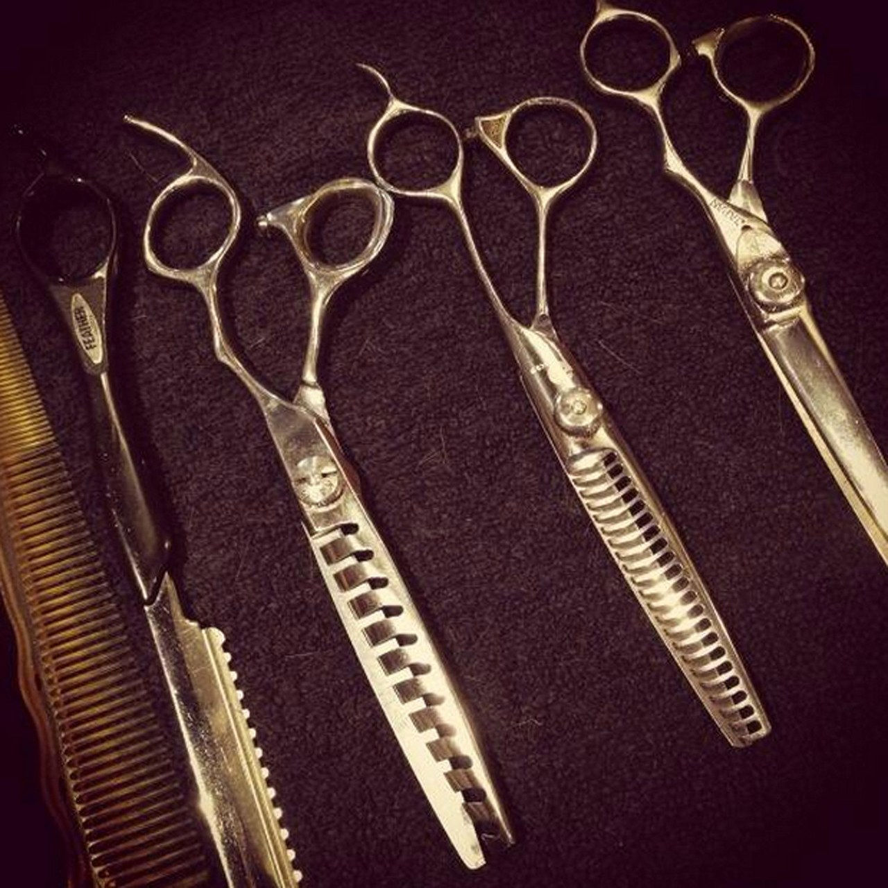 Shailene scissors