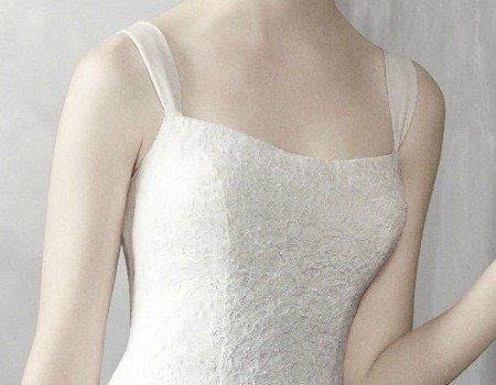 1007 1B vera wang white label for davids bridal wedding dresses spring 2012 we