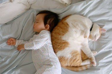 0902 baby and cat sm01