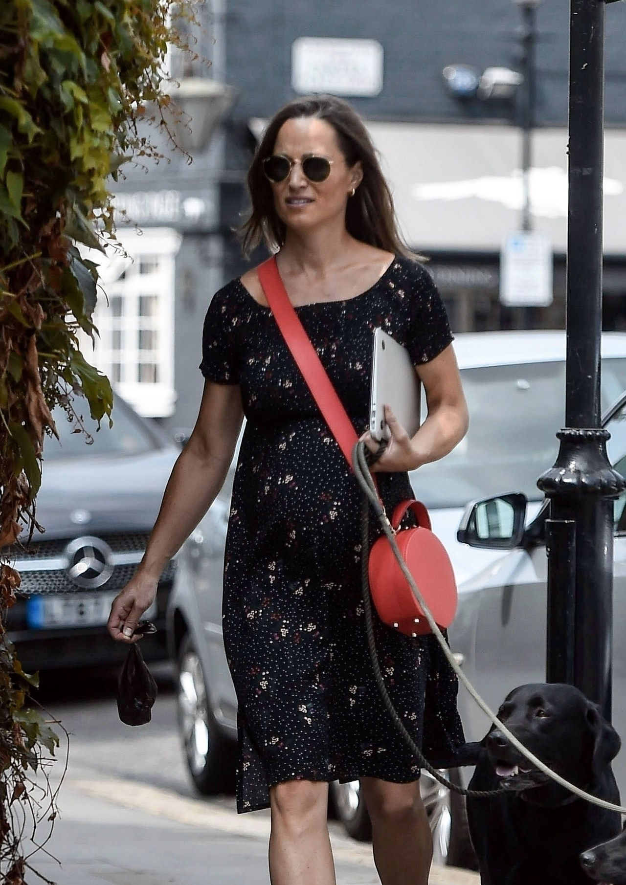 *VÝHRADNÍ* Pregnant Pippa Middleton seen walking her dogs in Chelsea