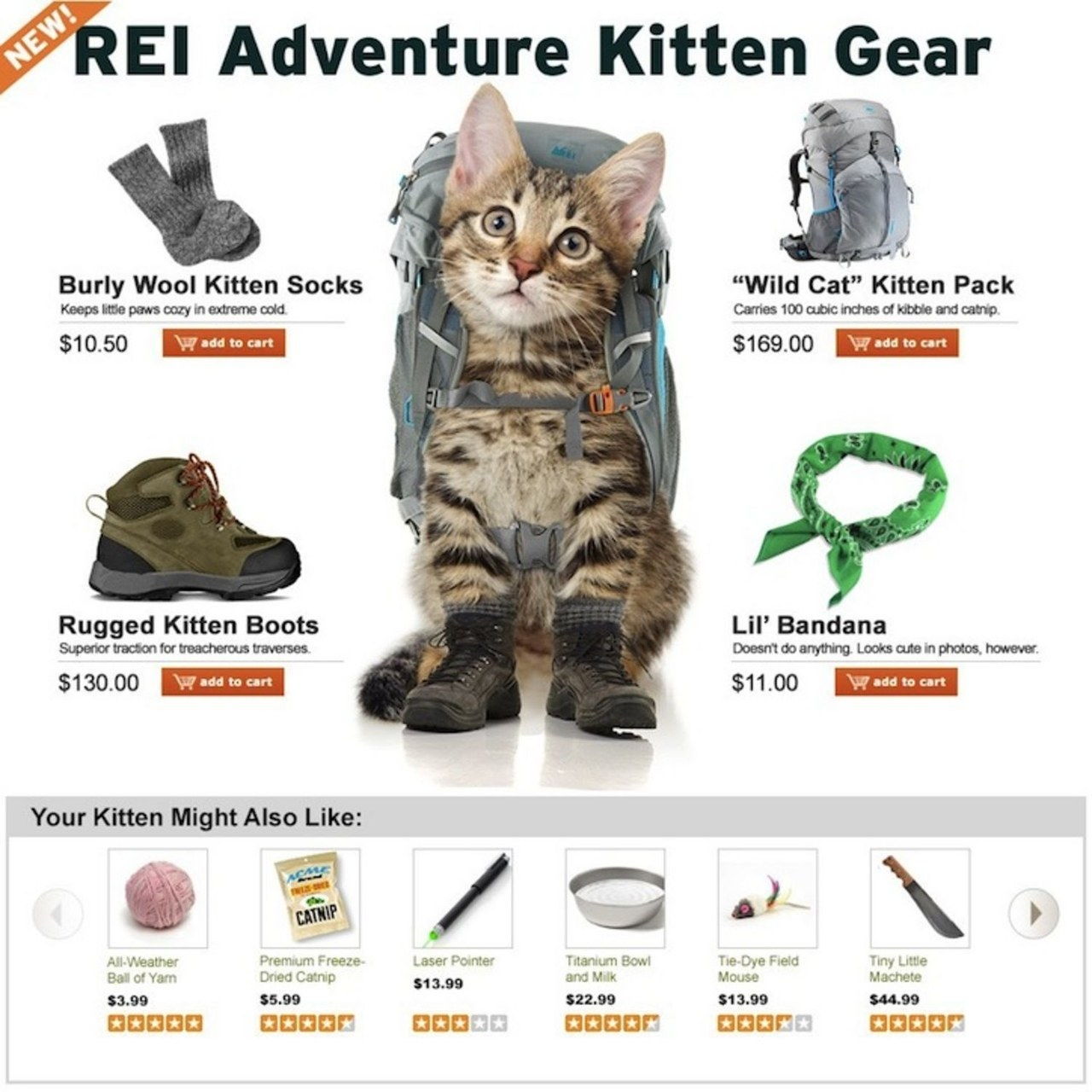 rei ad cats