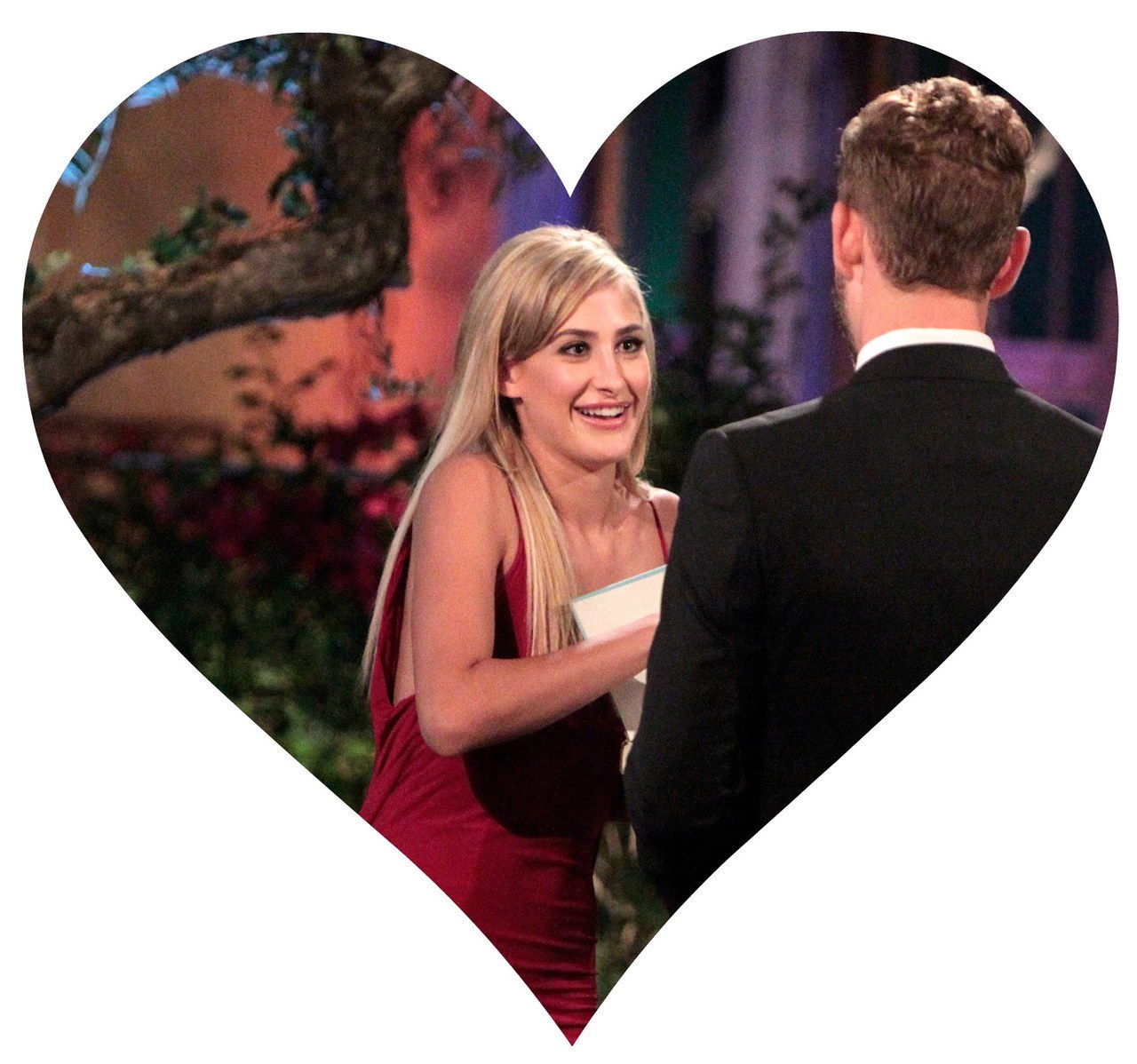 THE BACHELOR - “Episode 2101” - What do a dolphin-loving woman, a successful businesswoman who runs her parents multi-million -dollar flooring empire;, a bachelorette, who is hiding a big secret about her past involving Nick, and a no-nonsense Southern belle, who has Nick in her cross-hairs for a big country wedding, all have in common? They all have their sights set on making the Bachelor, Nick Viall, their future husband when the much-anticipated 21th edition of ABC's hit romance reality series, 