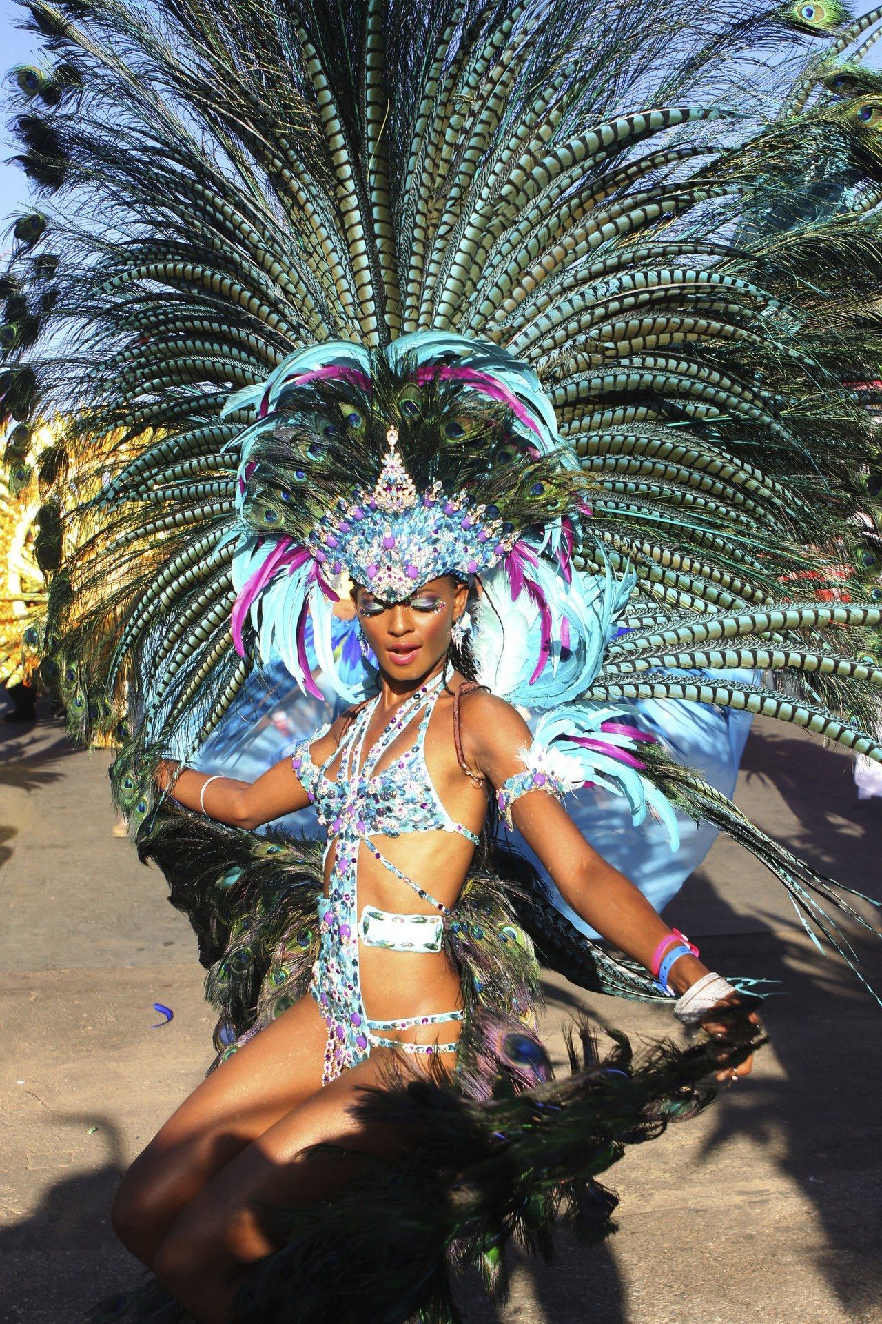 carnaval 2015 blue pink feathers costume