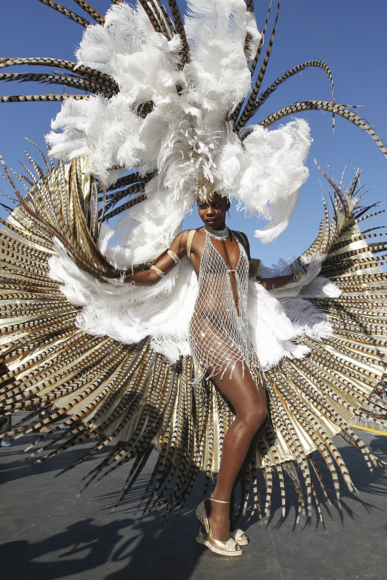 carnival costume 2015 white net quail feathers