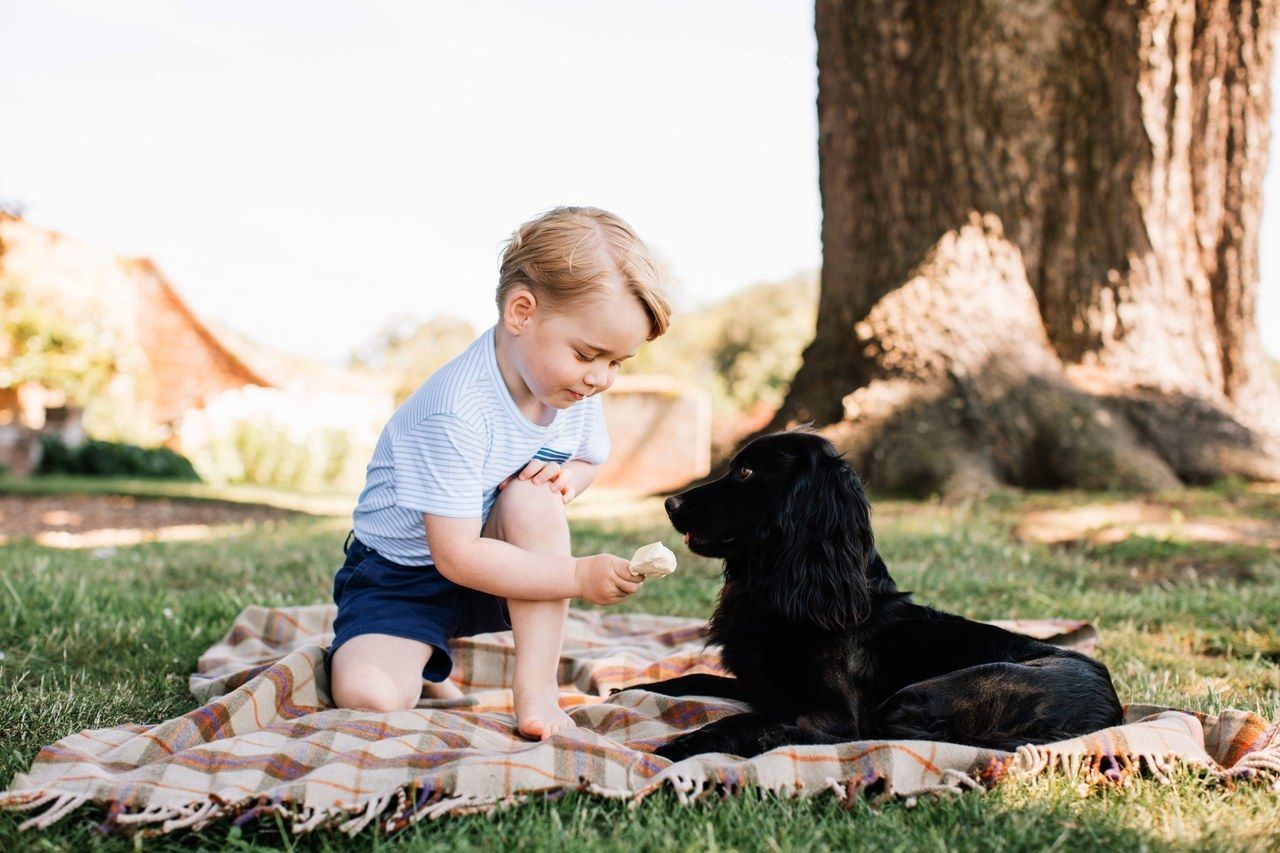 Udgivet by the Duke and Duchess of Cambridge of Prince George, who celebrates his third birthday today. The picture was taken at the family's Norfolk home in mid-July.